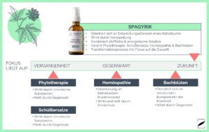 4 different therapies of naturopathy with their respective approach and focus, spagyric is the center of attention