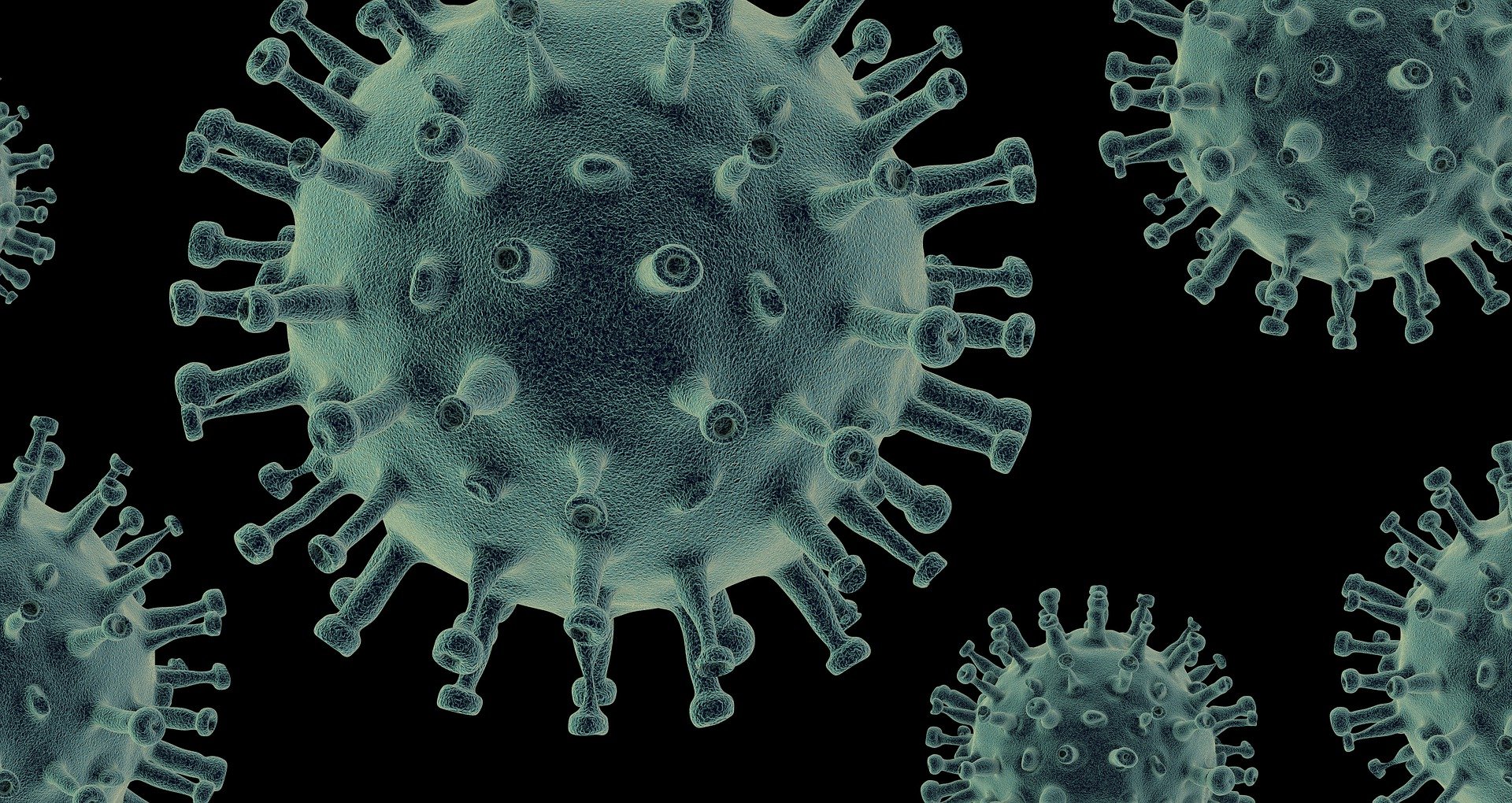 Close-up of a virus - Viral nosodes - Nosode therapy