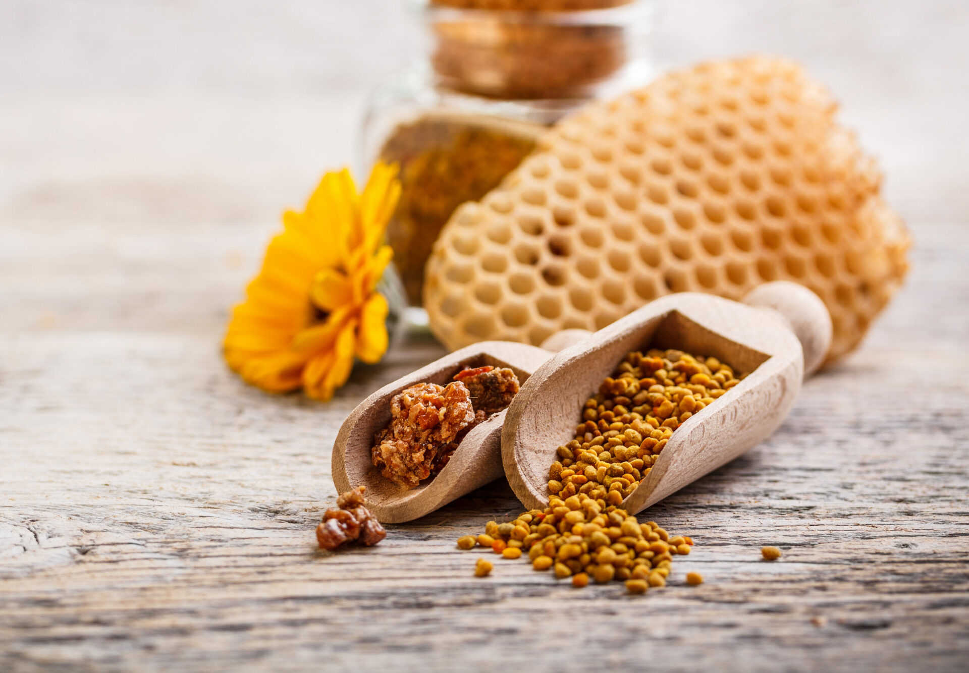 Bienenwaben und Bienenkittharz, Propolisgranulat auf Tisch mit Blume