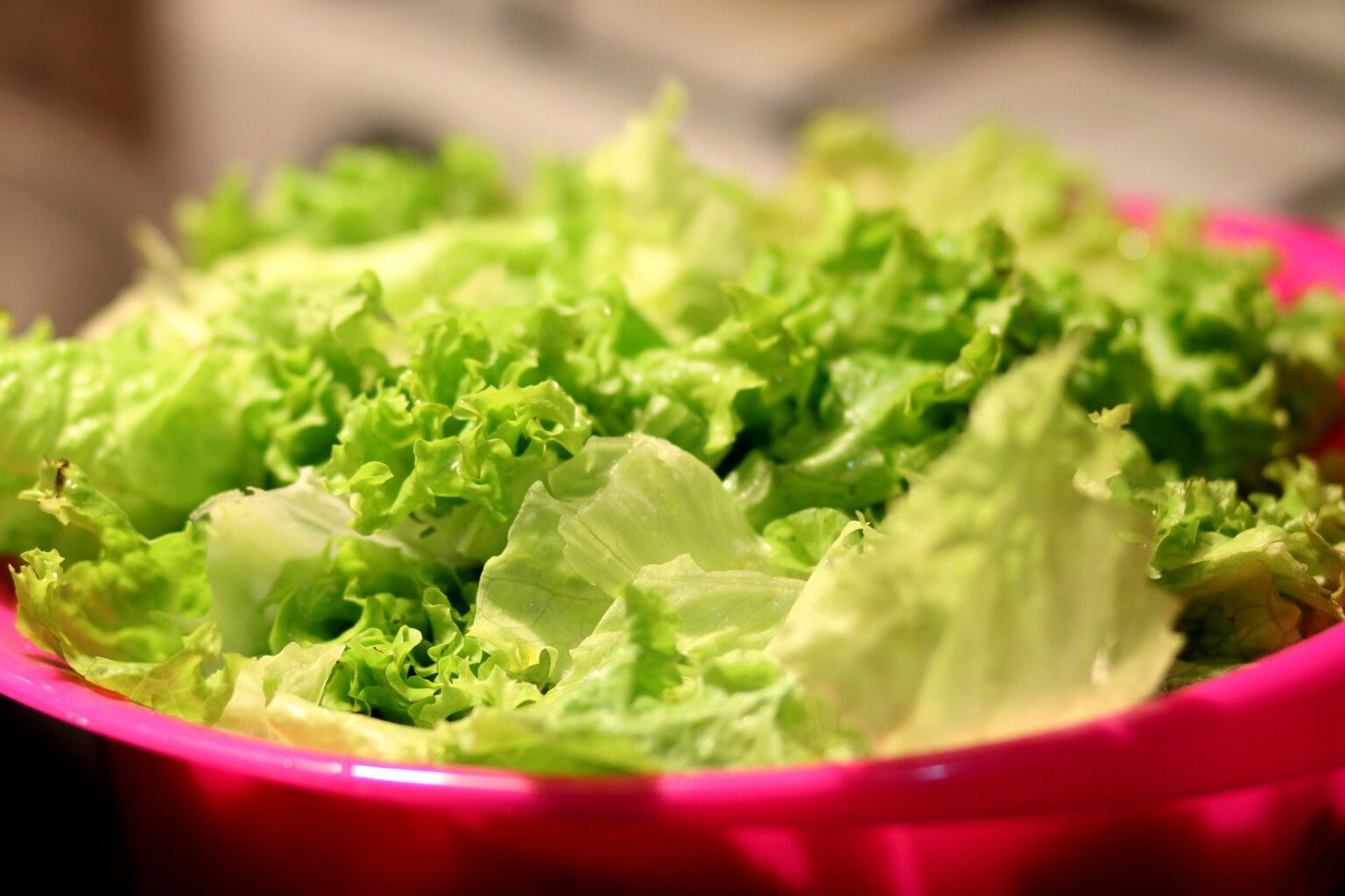 Grüner Salat in Schüssel gewaschen lecker