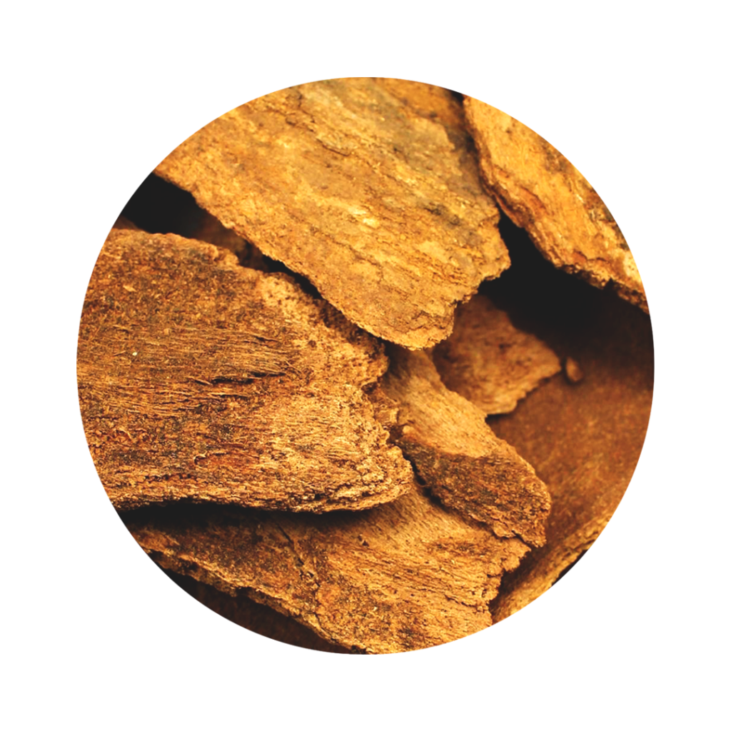 Pieces of brown bark of okoubaka