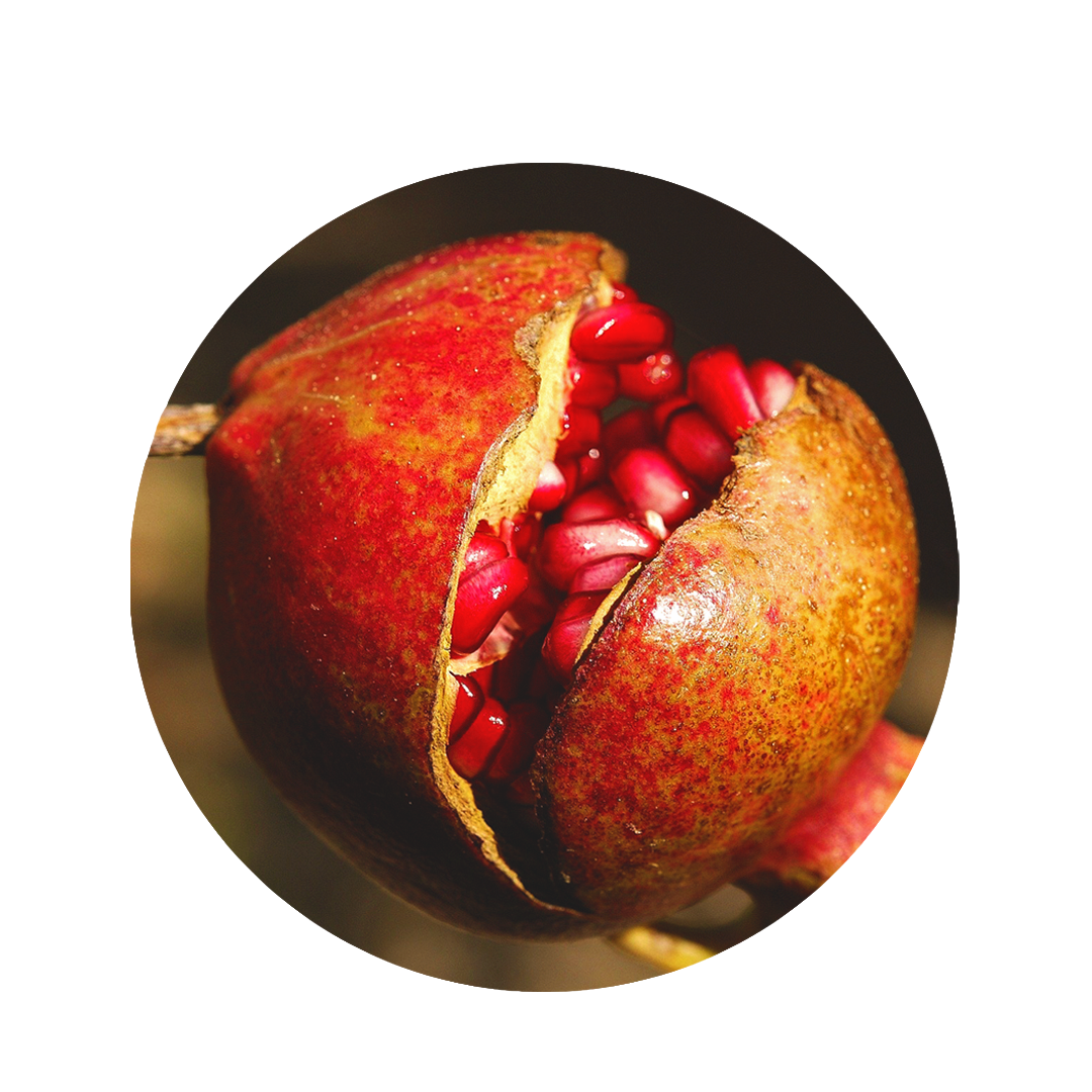 red pomegranate. which is open in the middle so that you can see the seeds
