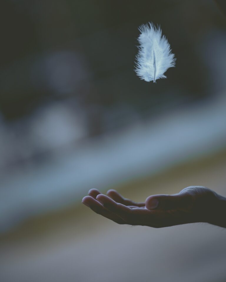 white feather floats through the air