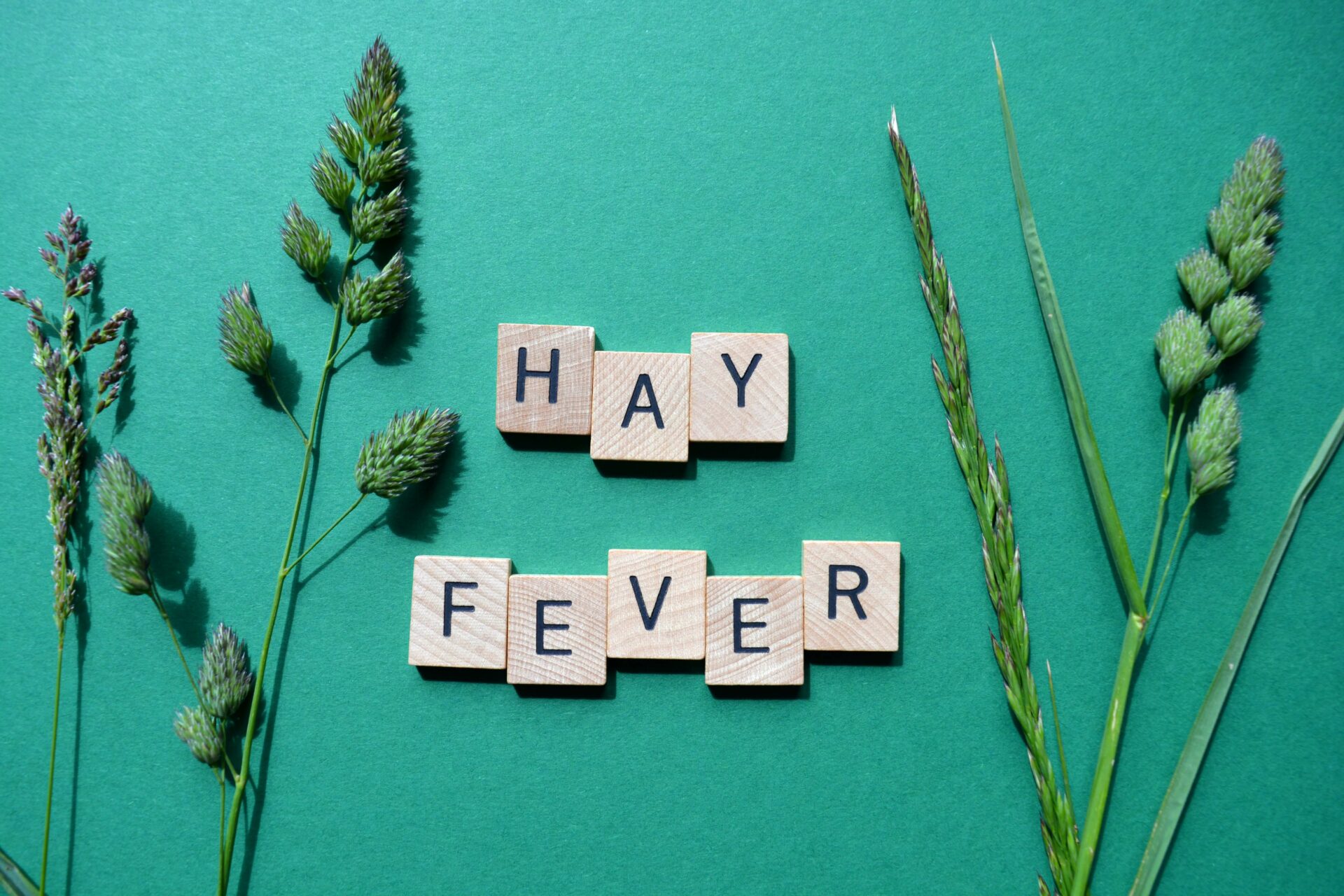 Hey Fever