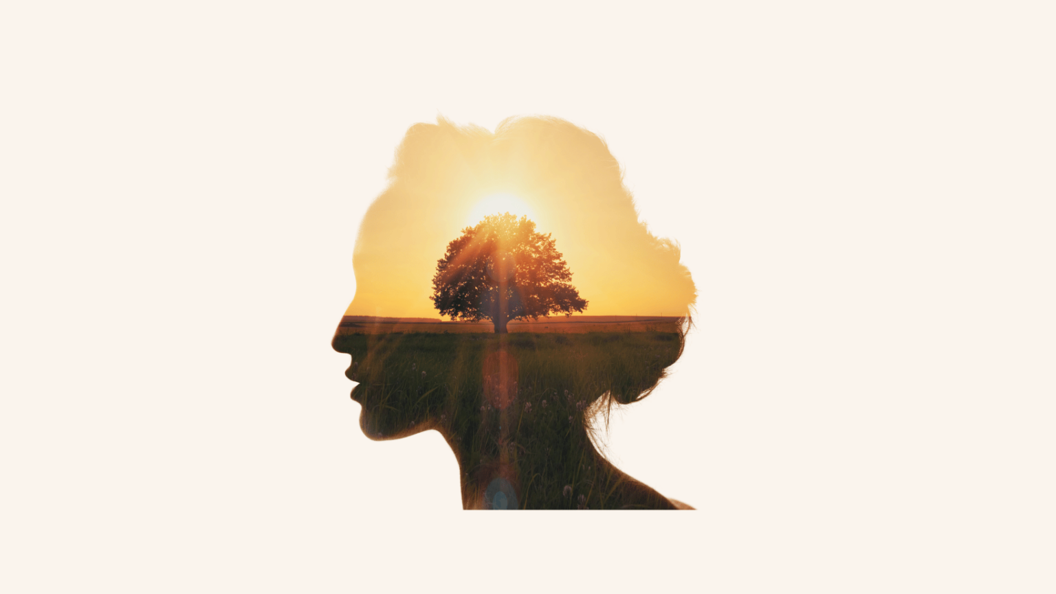 Ein Frauenkopfumriss gefüllt mit einem Bild mit einem Baum und Sonnenuntergang