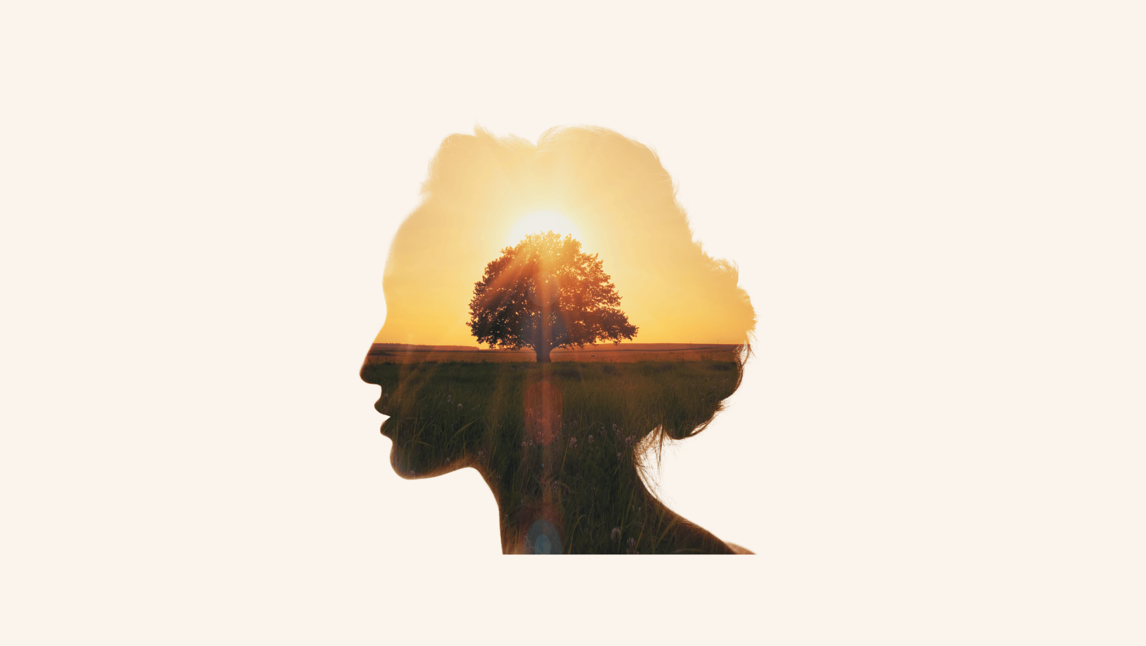 A woman head outline filled with a picture with a tree and sunset