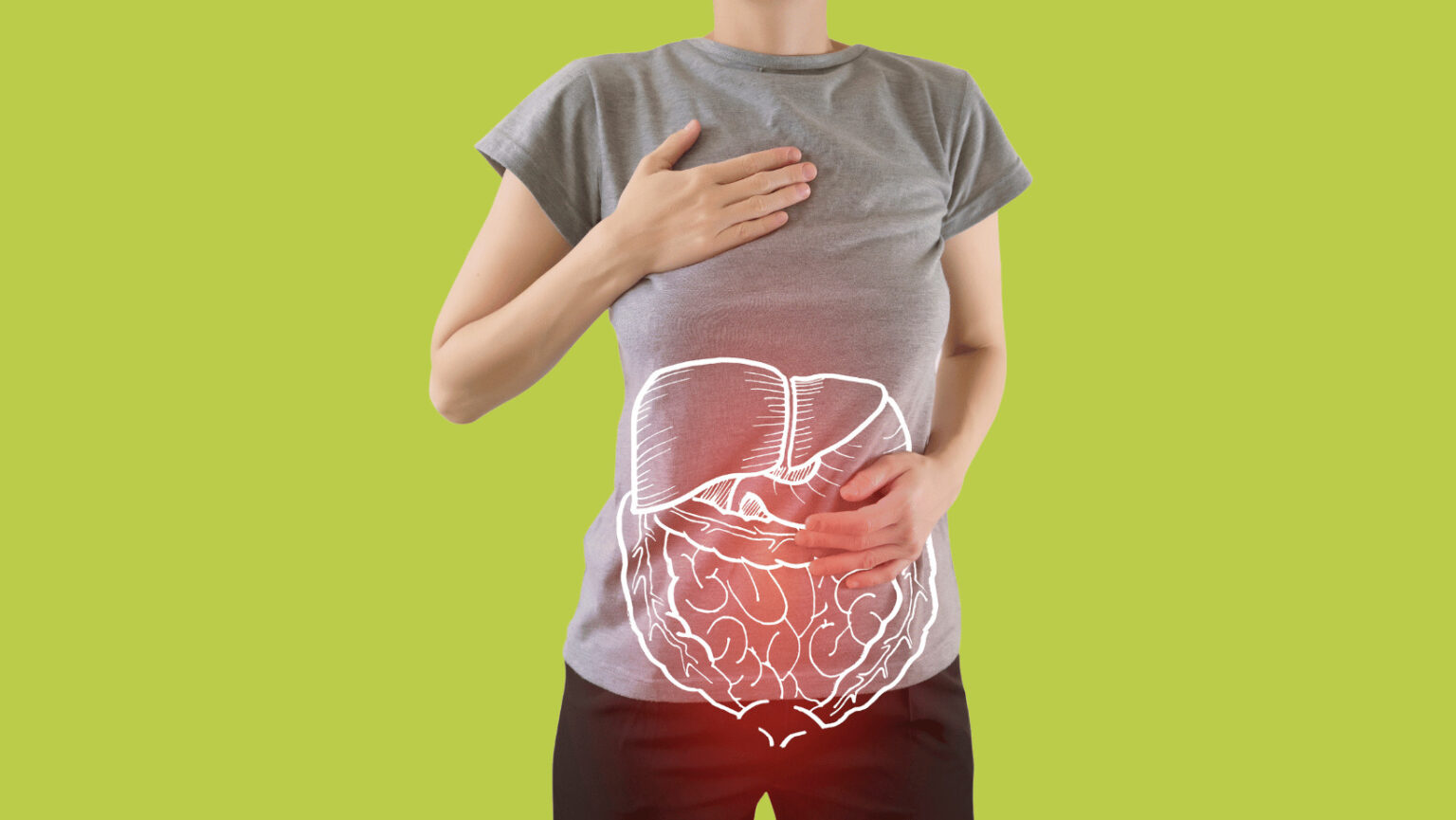 Ein Körper im grauen Tshirt hat eine weiße Aufzeichung aller bei der Verdauung mitwirkender Organe auf grünem Hintergund