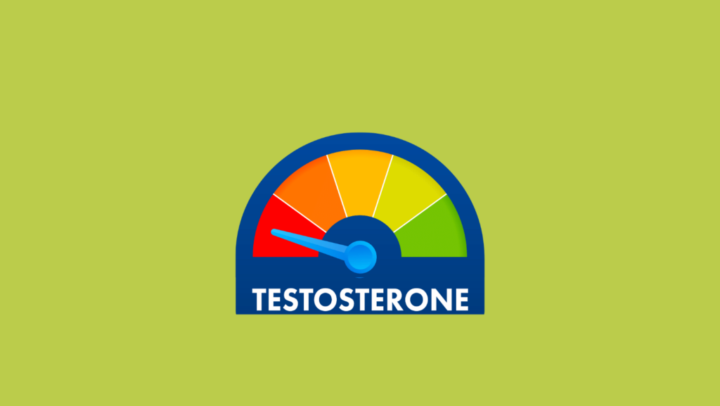 A scale with red, orange, yellow, green stripes and the level indication in the red area. The graph is labeled testosterone.