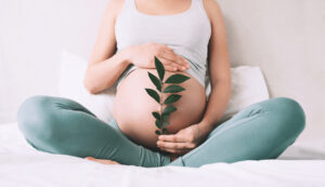 Pregnant woman sits on a bed and holds a branch with leaves in front of her belly