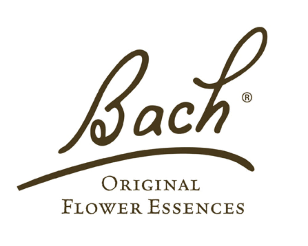 Logo von Bach & Bachblüten mit englischer Firmenbeschreibung