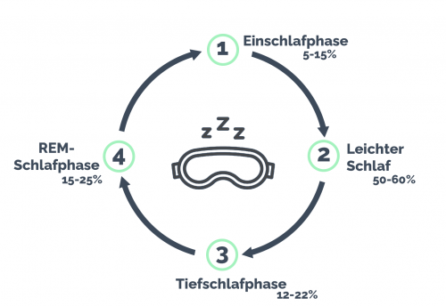 Grafische Darstellung des Schlafzyklus mit Schlafphasen
